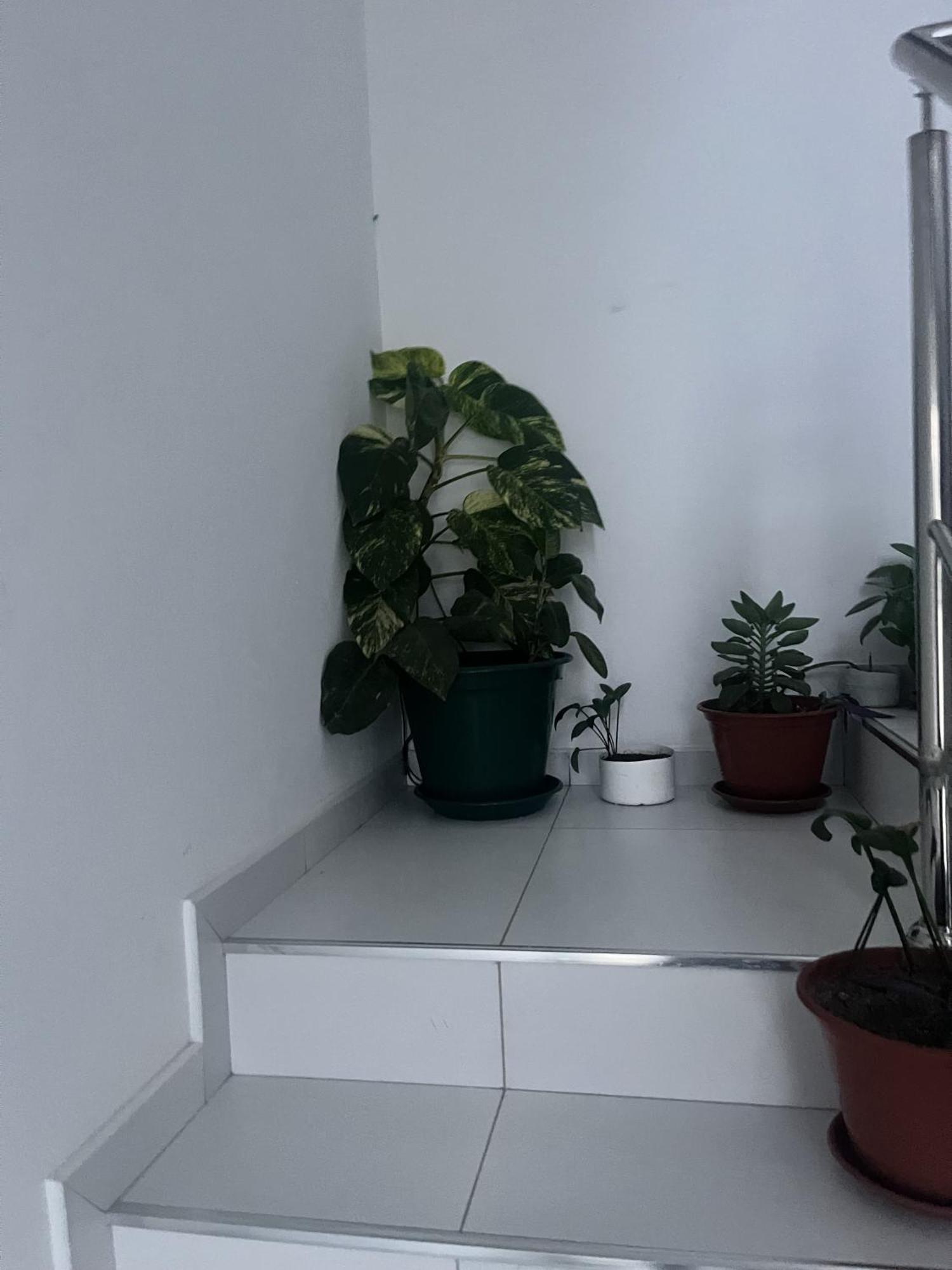Apartamento Oasis De Retour Ponta Do Sol Exterior foto